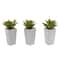 9" Mini Agave Arrangement in White Planter, 3ct.